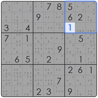 large sudoku book
